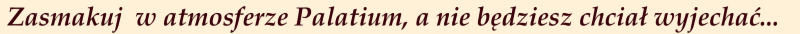 Zasmakuj w atmosferze

Palatium...